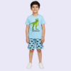 Blue Dino T-Shirt & Shorts Pair